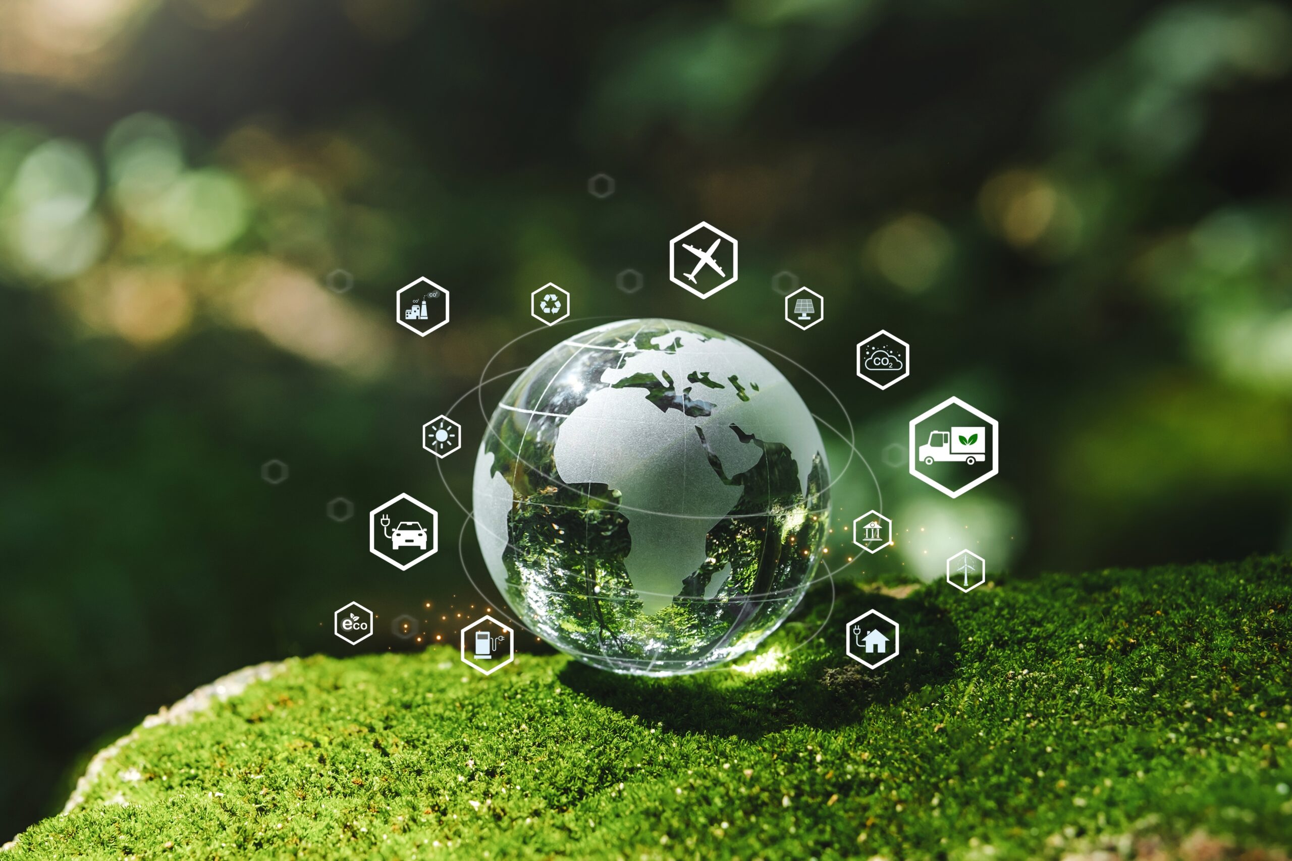 global supply chain structure